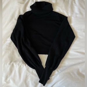 Aritzia Wilfred Cropped Turtleneck